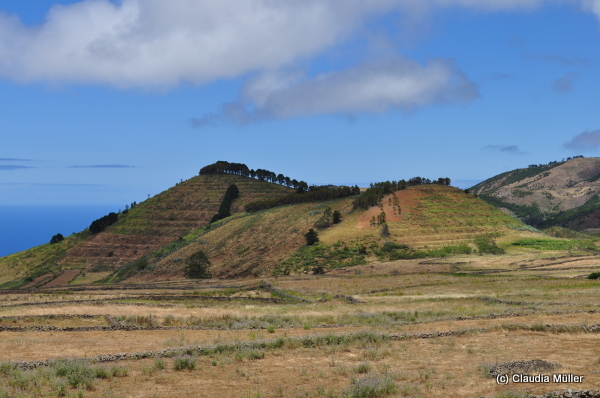 El_Hierro_08.JPG