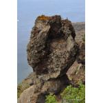 El_Hierro_16.JPG