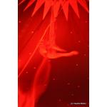 Colors_Artist_Red_03.JPG